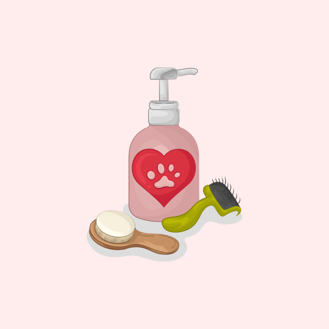 Shampoings & brosses