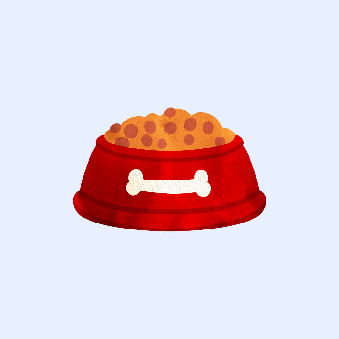 Croquettes chien