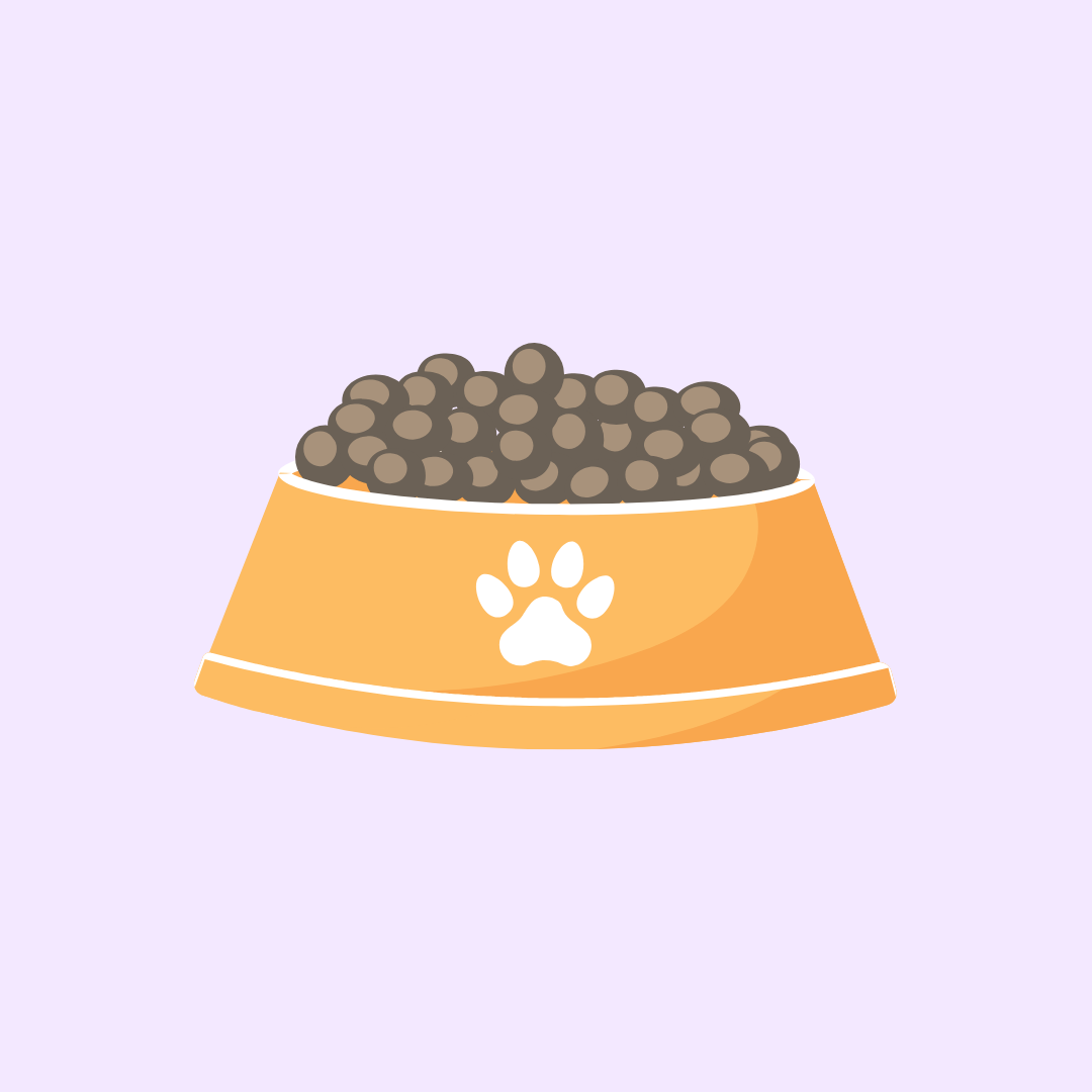 Croquettes chat