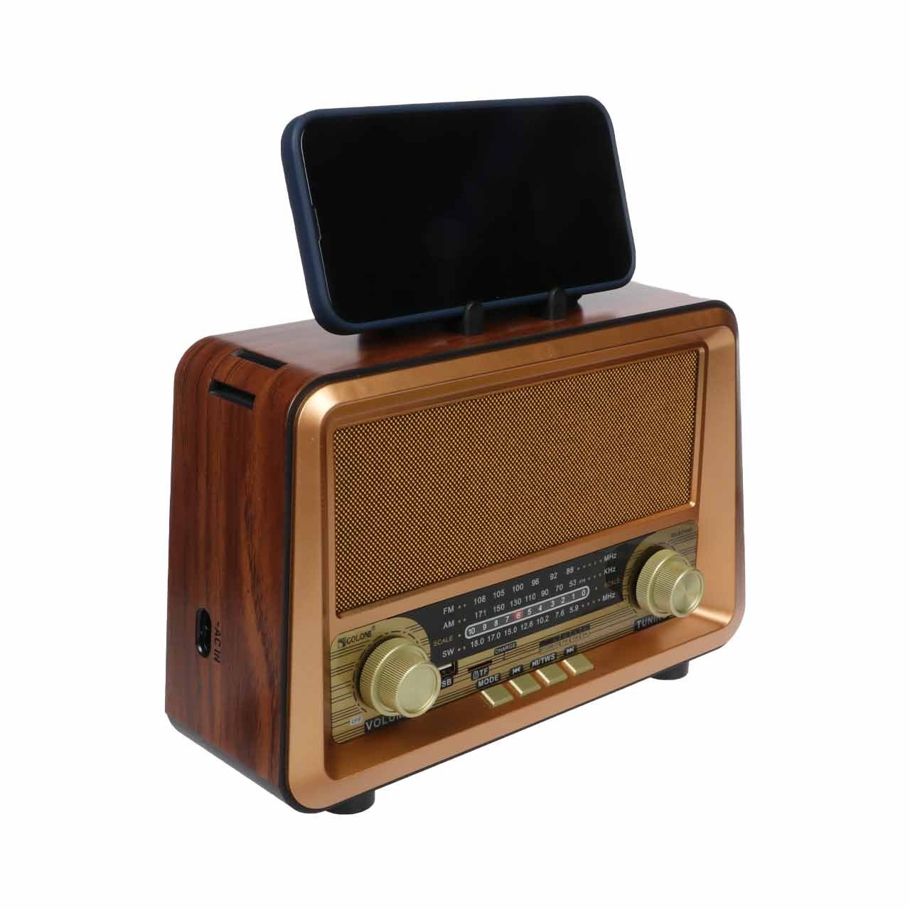 Radio Portable Sans Fil RX-BT1006 – Vintage & Moderne à la fois
